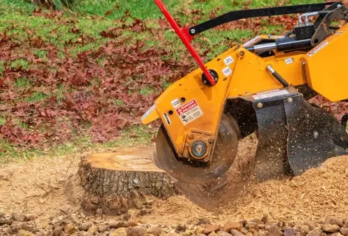 A yellow stump grinder in operation, grinding a tree stump in a yard.