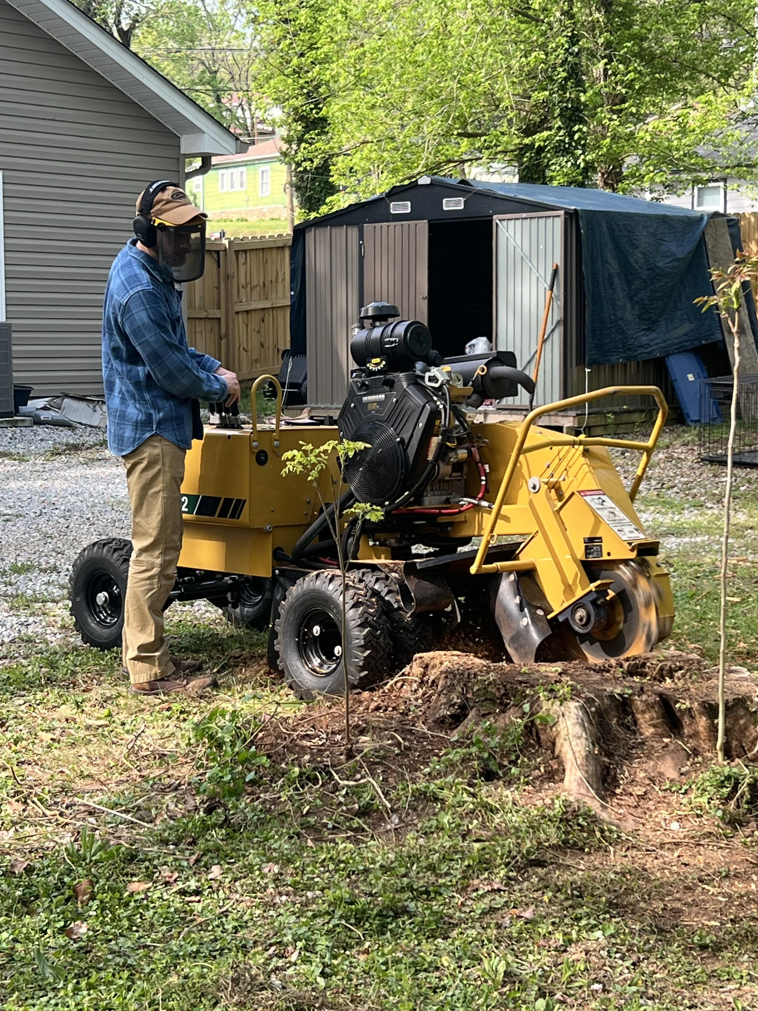 A man wearing ear protection and a face shield is operating a yellow stump grinder to remove a tree stump in a backyard. There is a shed and a wooden fence in the background.