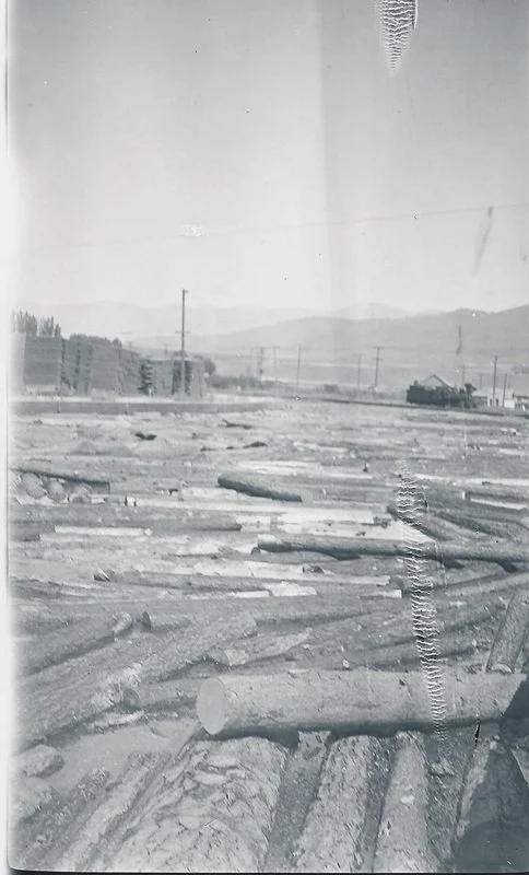 5046619_orig.jpg