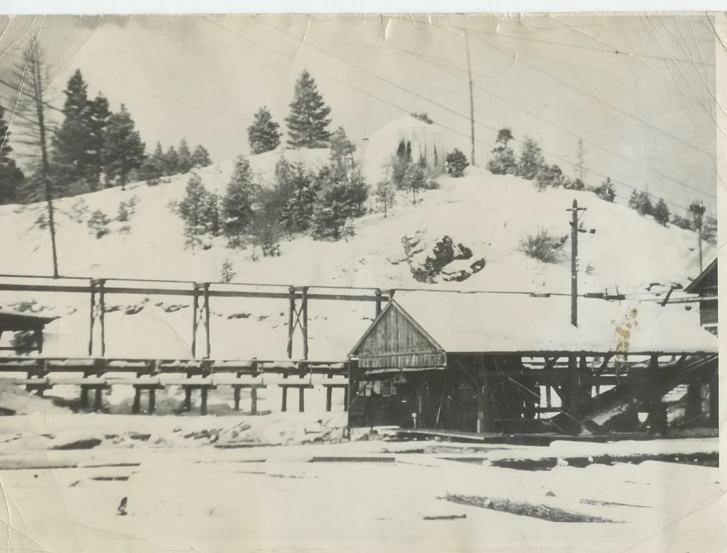 4464286_orig.jpg