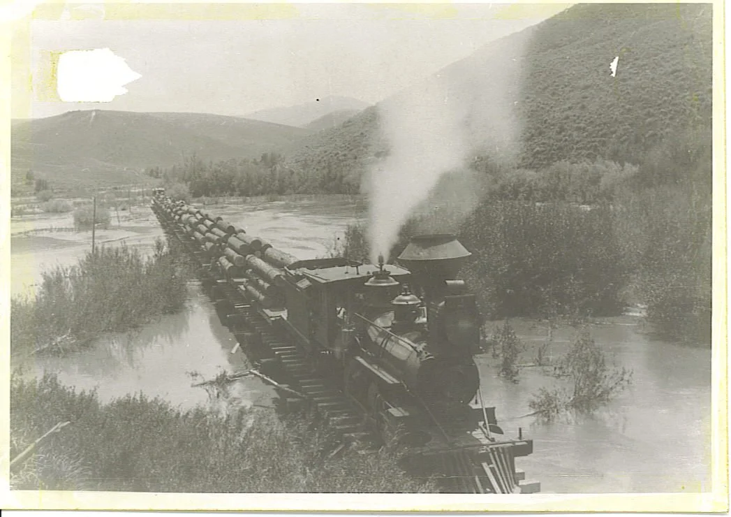 5520217_orig.jpg