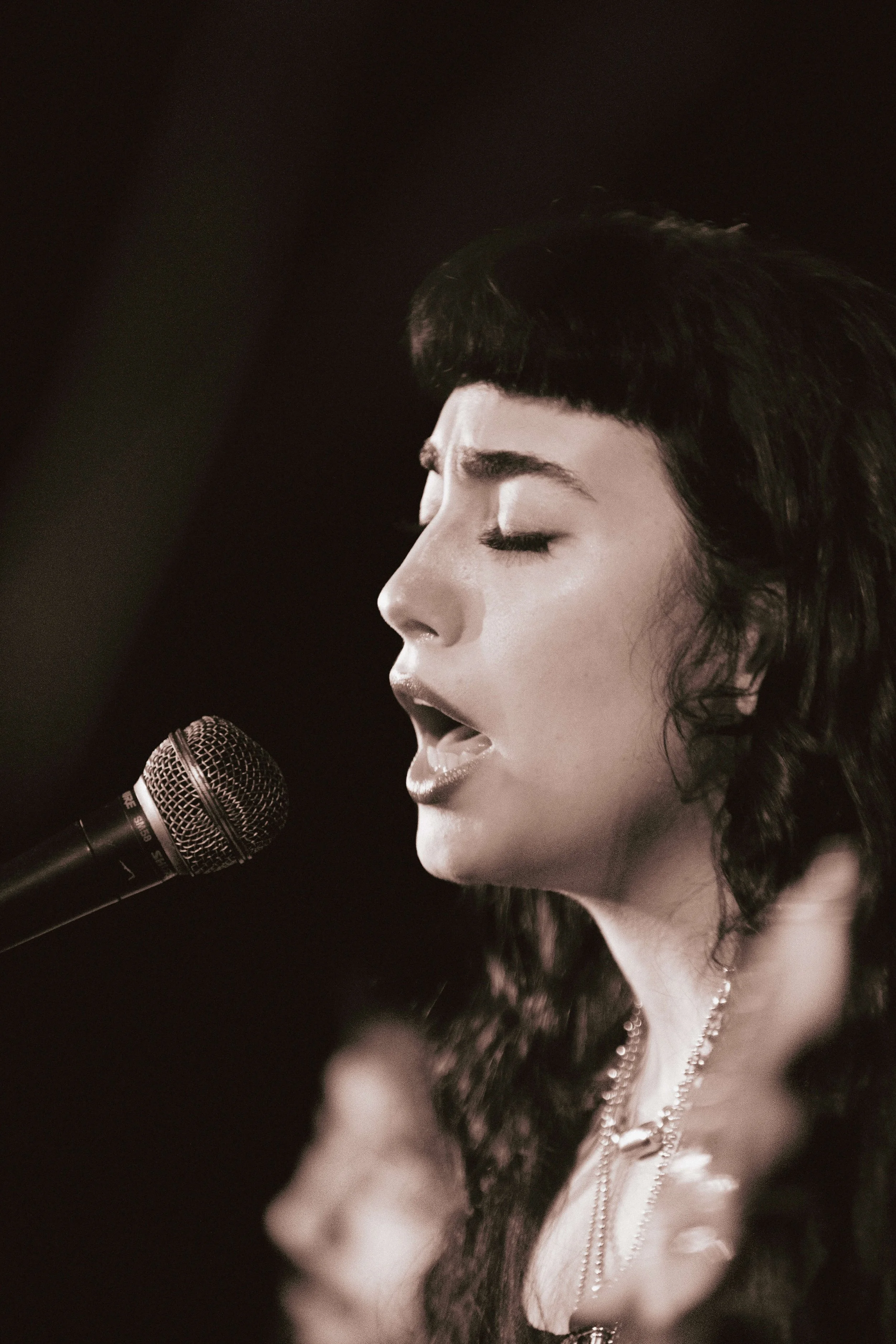concert-photography-by-summer-schantz (3).jpg