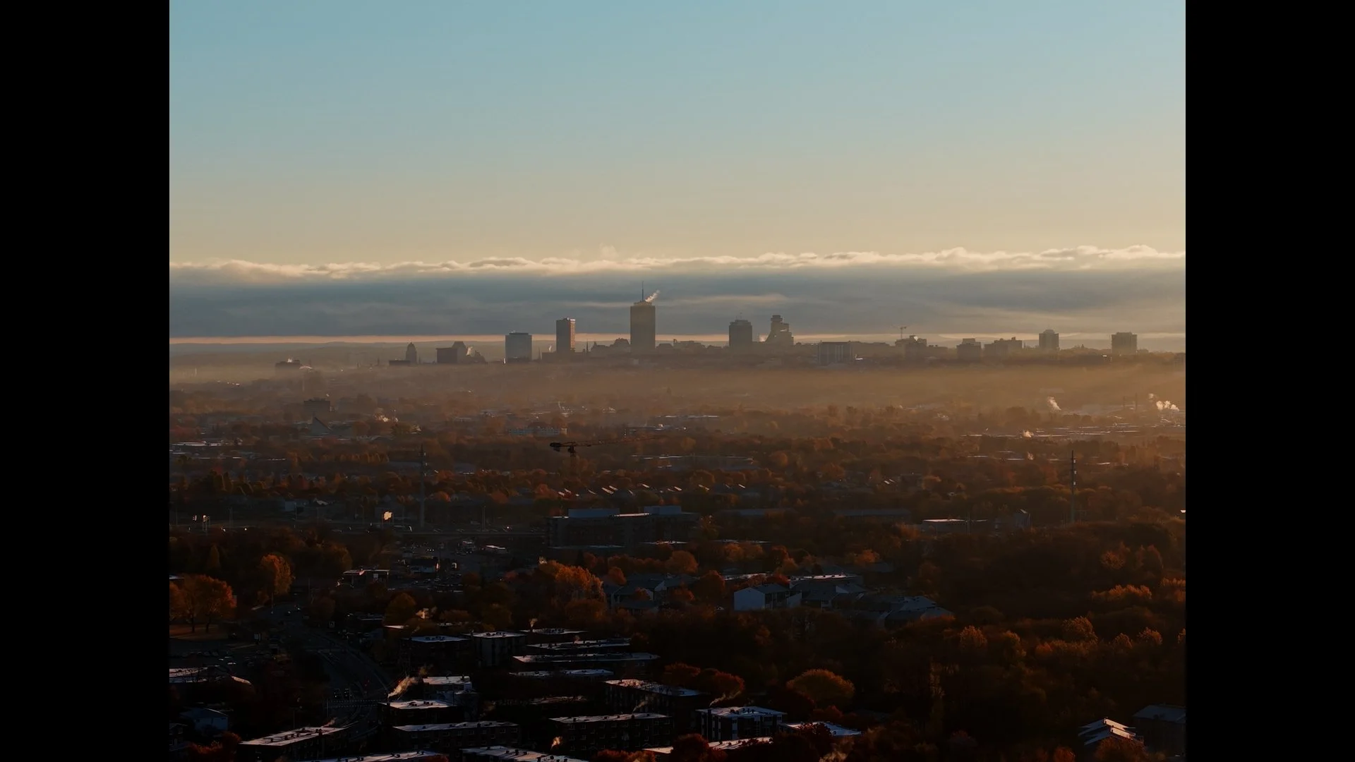 default_1.39.1 (1).jpg