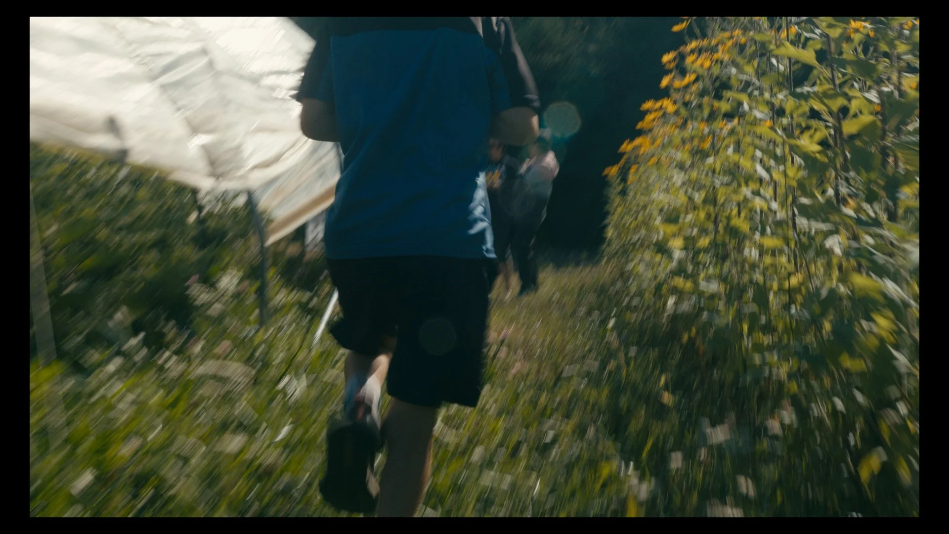 Timeline 1_01_02_19_07.jpg