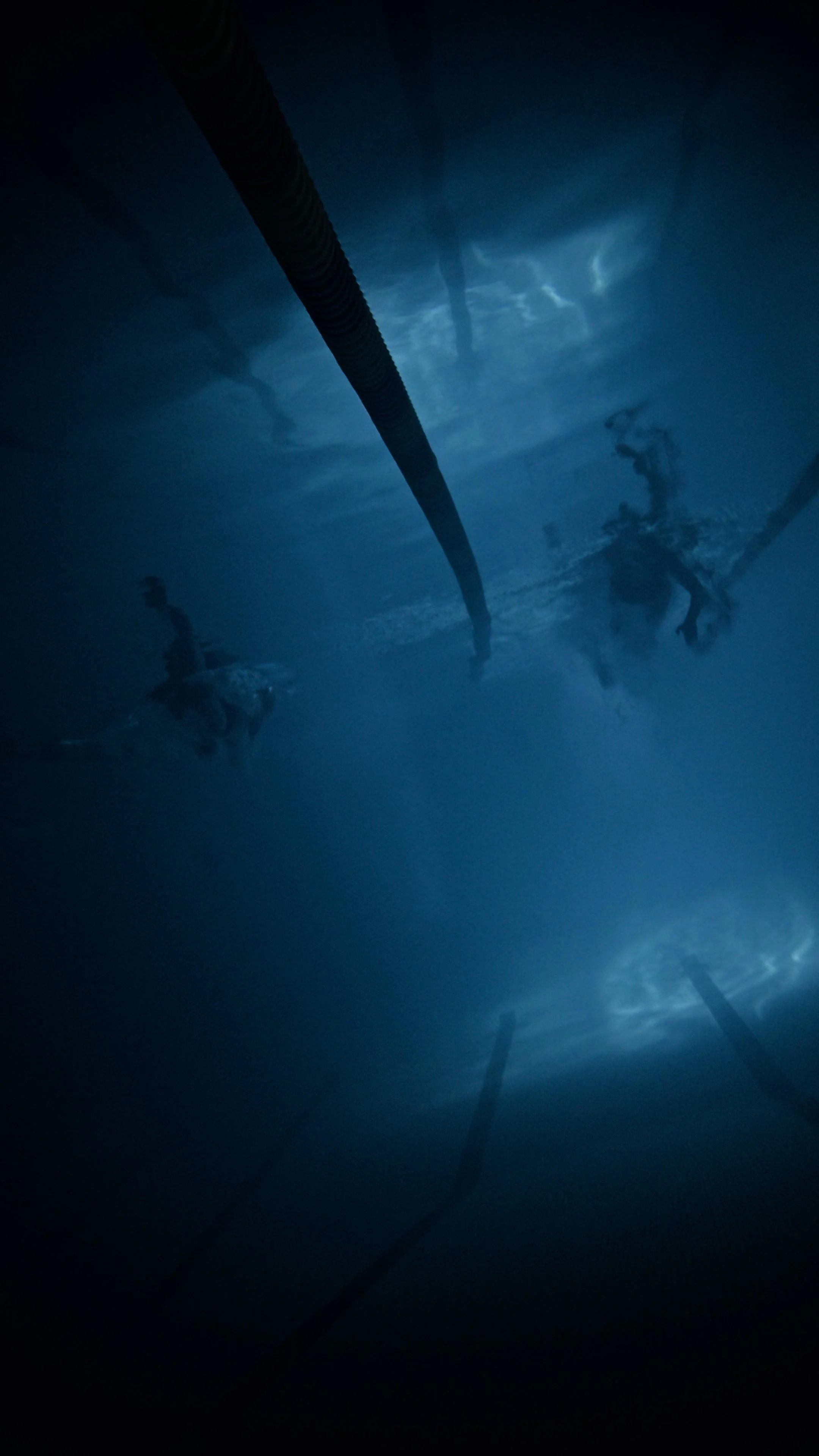 Still 2026-04-02 161714_1.36.1.jpg