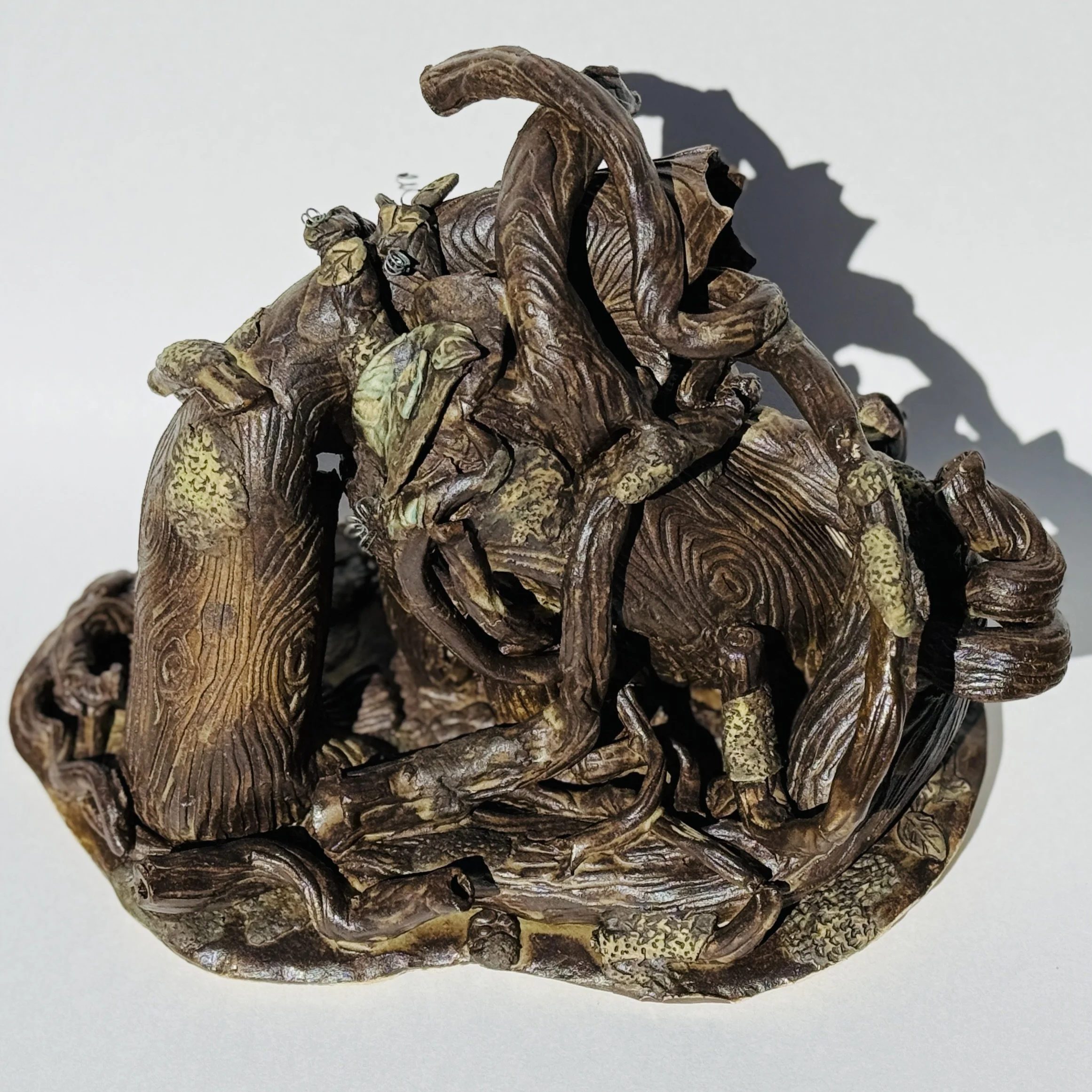 Spirit of the Forest