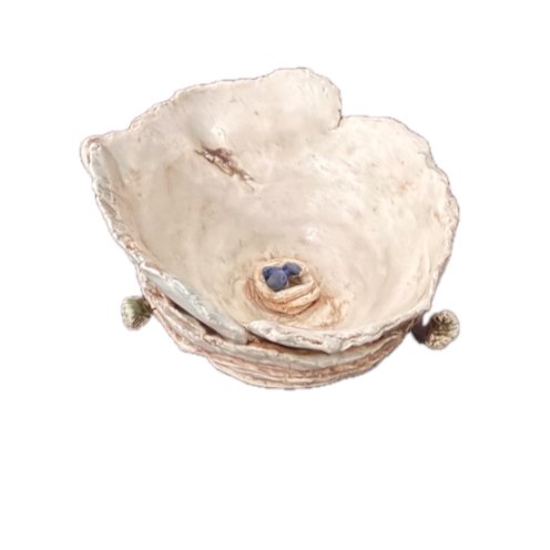 nest+-+1+Background+Removed.png