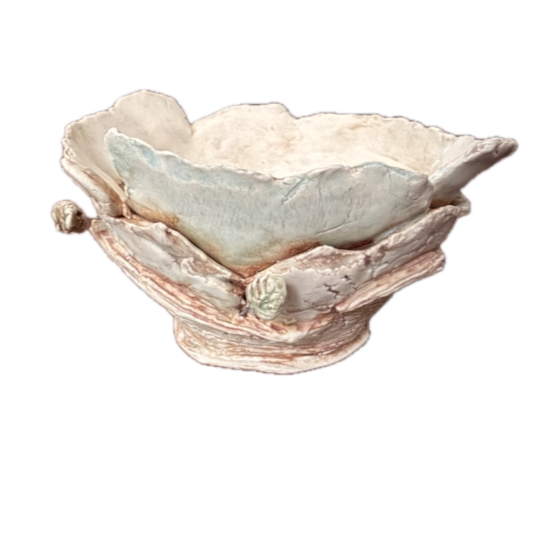 nest+-+3+Background+Removed.png