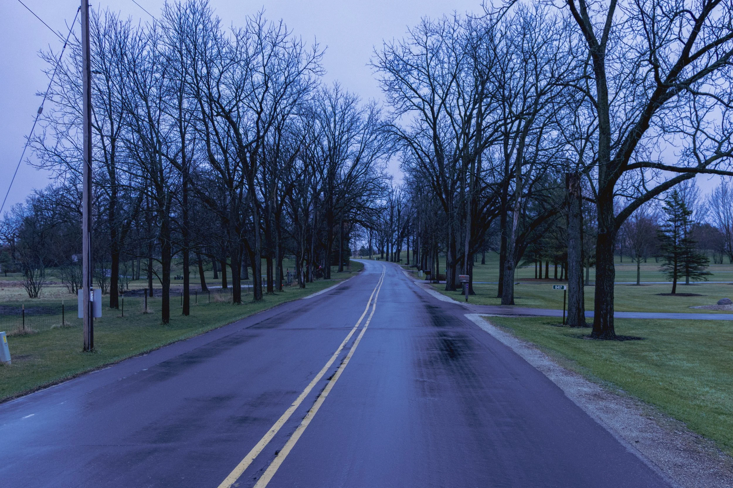 Empty residential street with leafless trees on both sides, wet pavement, and a utility pole, during overcast weather.