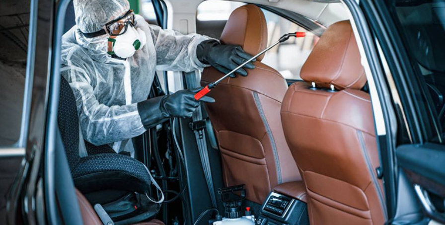 Vehicle waste cleanup