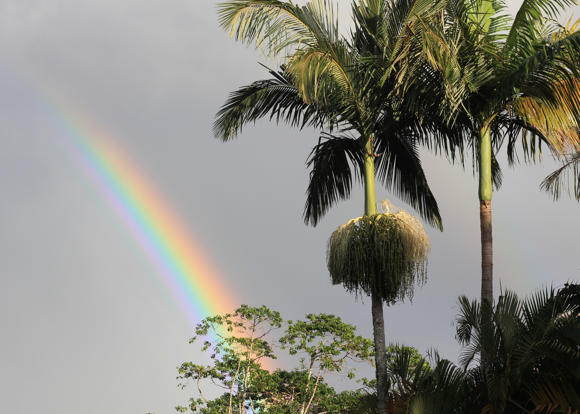 Chasing Rainbows