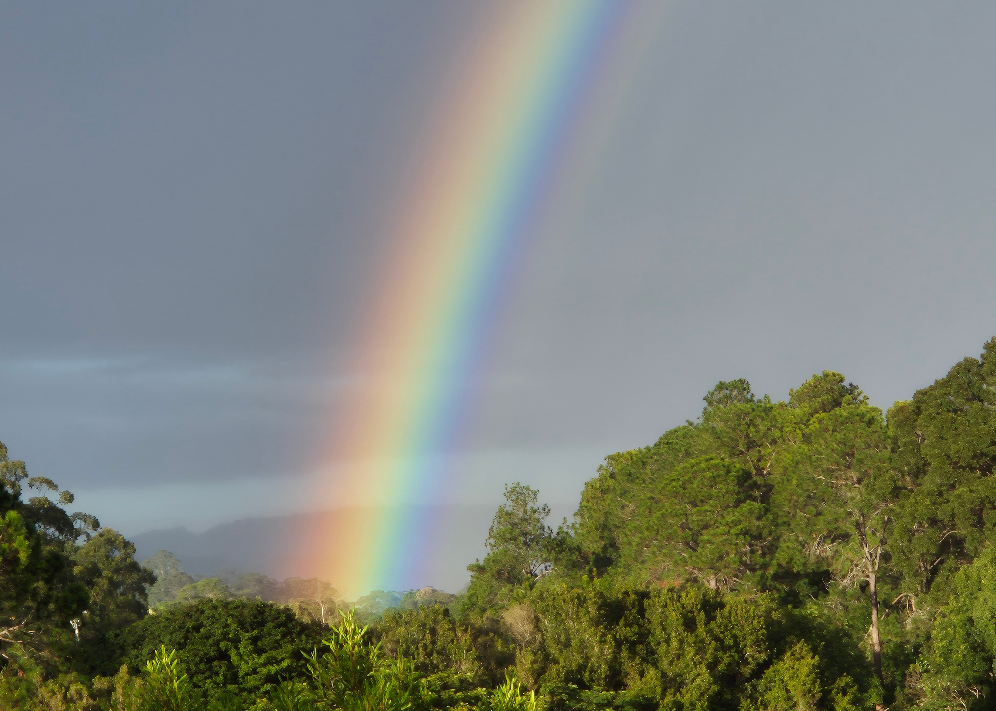 Colours of Woombye