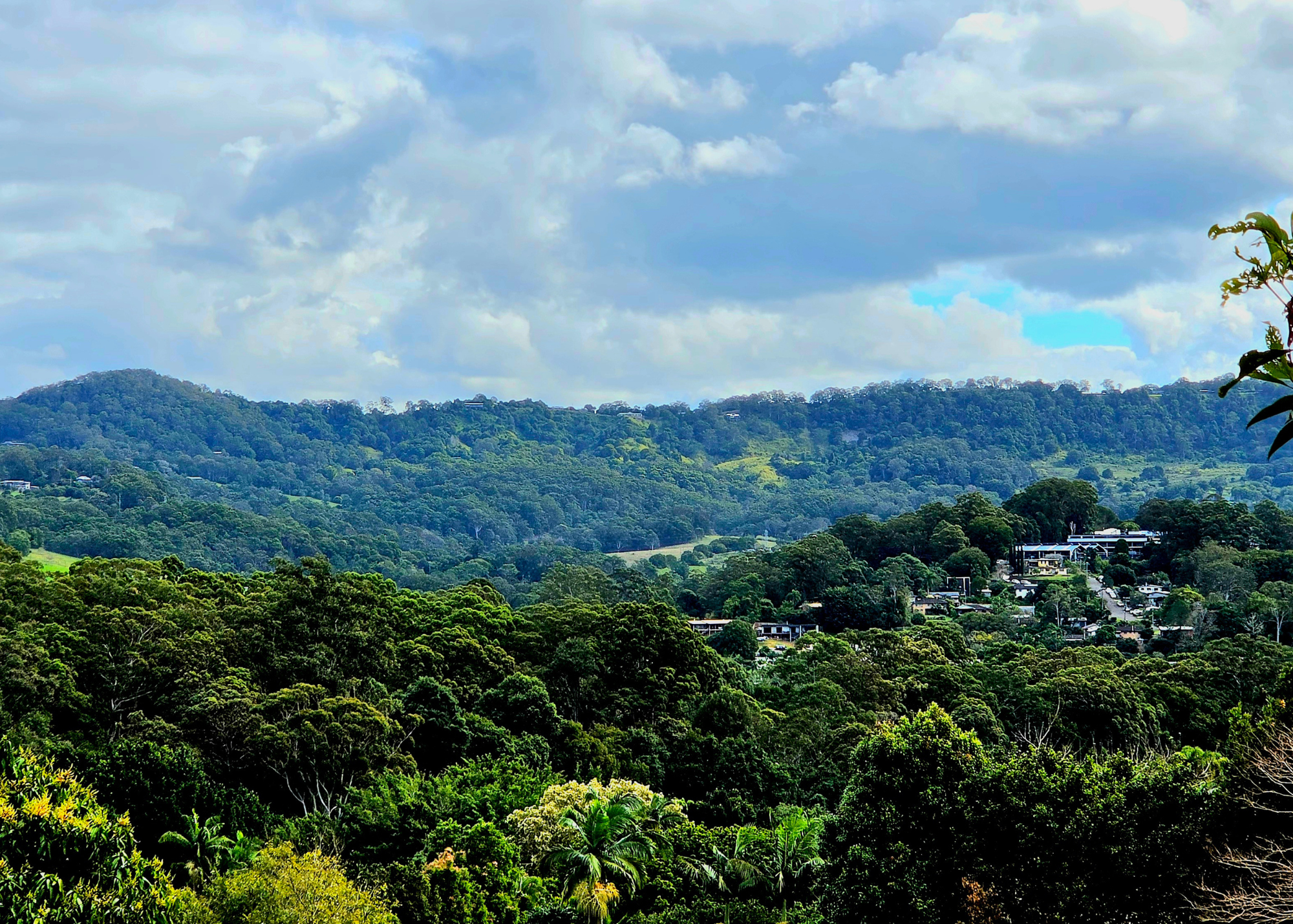 Beautiful Woombye Through Lens