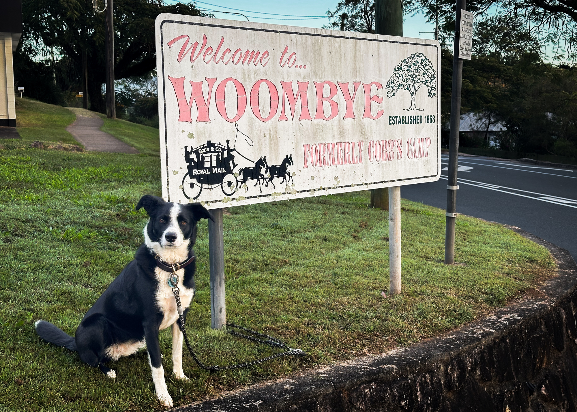 A Warm Welcome to Town