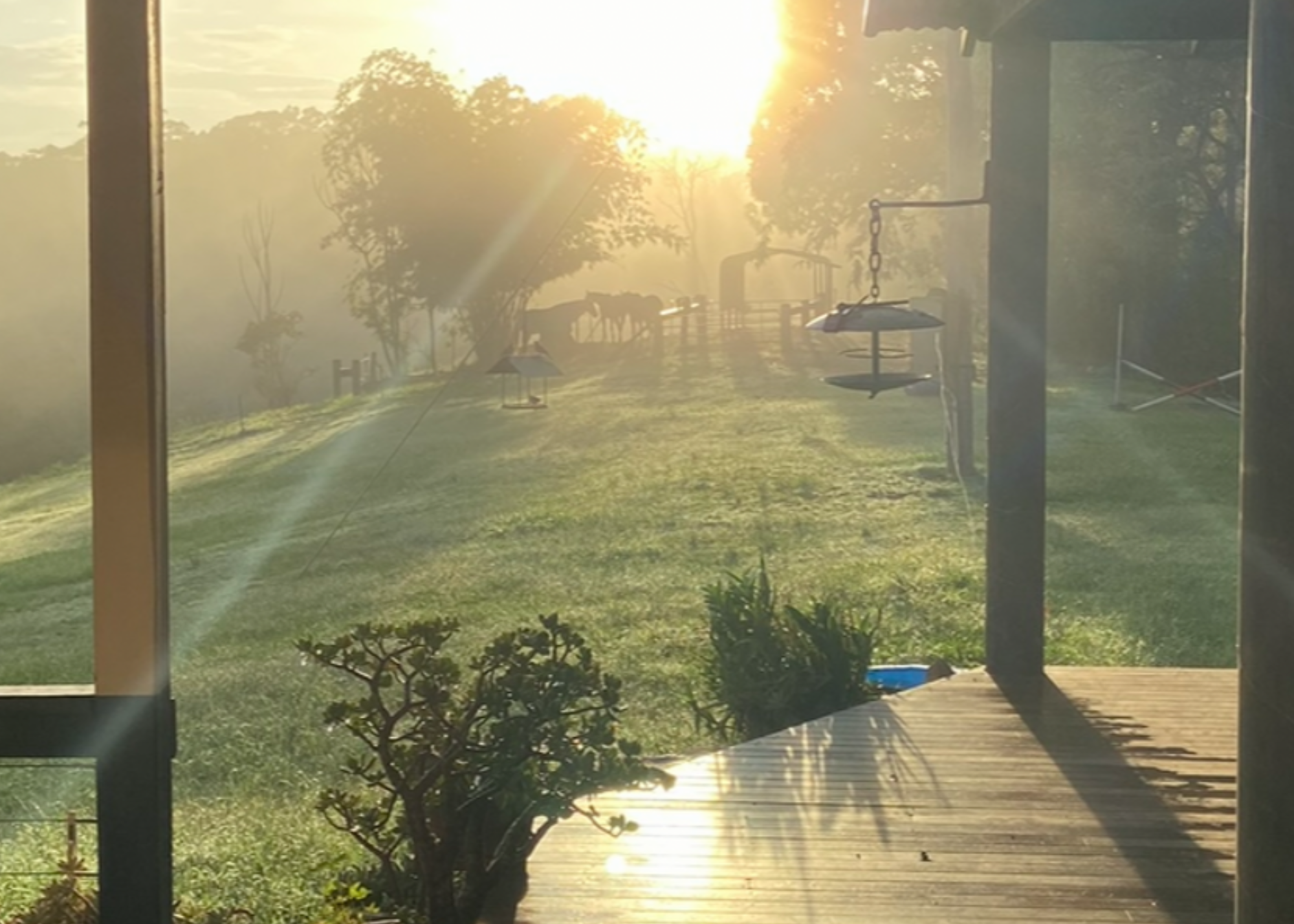 Beautiful West Woombye