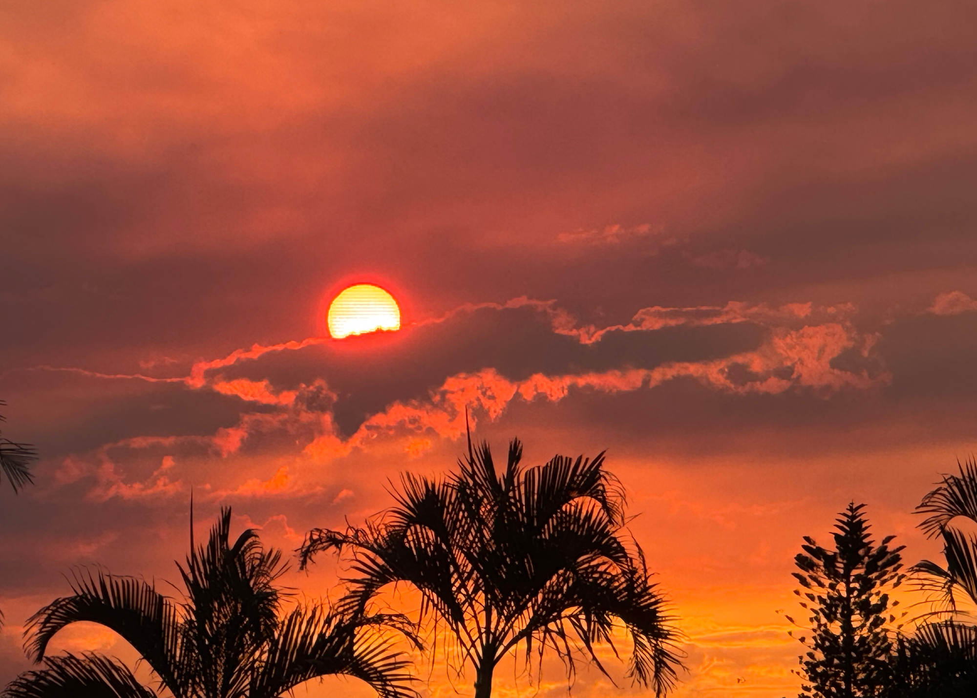 Sunset Over Woombye