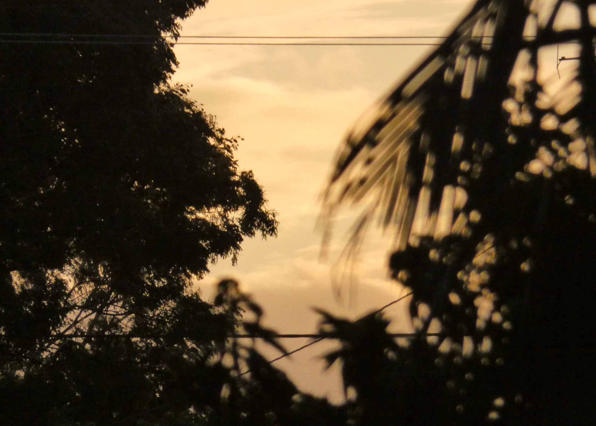 Golden Hour
