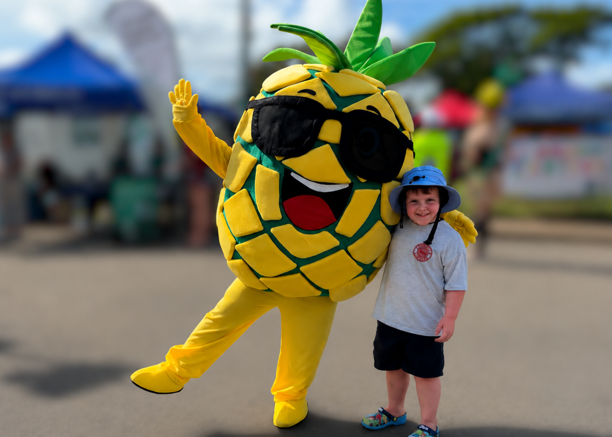 Patch the Pineapple