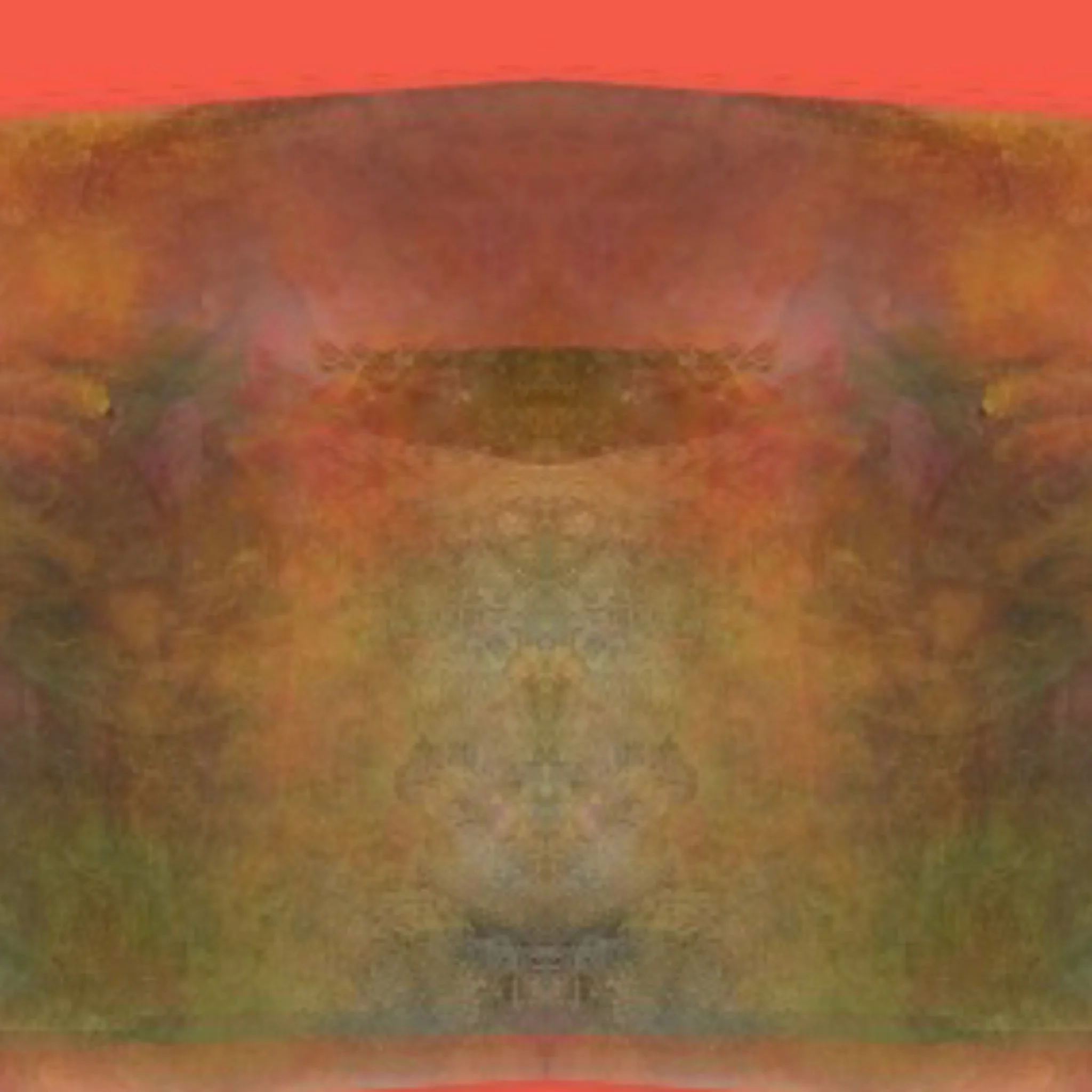 A blurry, pixelated photo of a brown, oval-shaped object on a reddish background, with dark areas around the object.