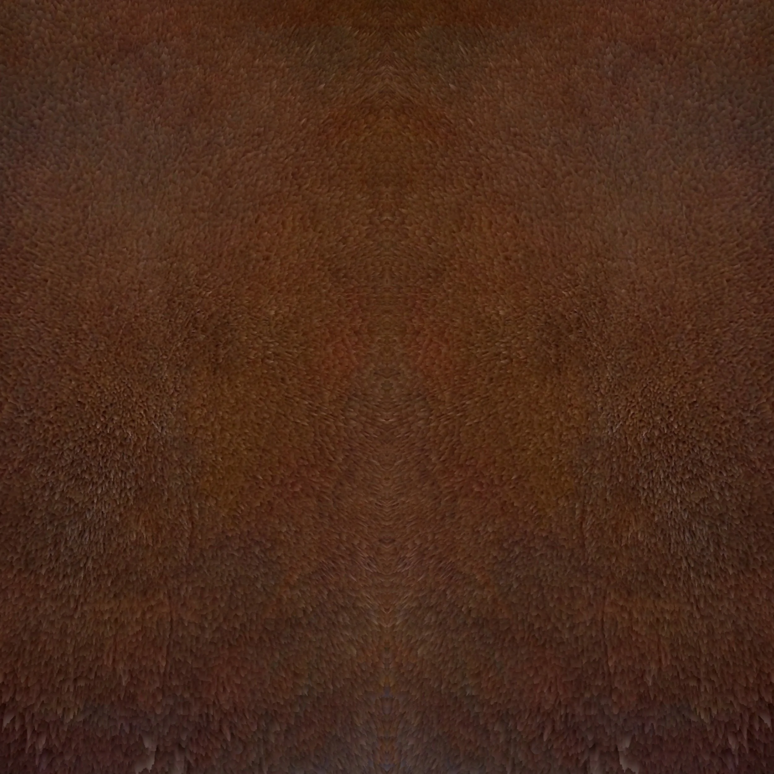 Close-up view of a brown, textured surface that appears to be plush fabric or carpet.