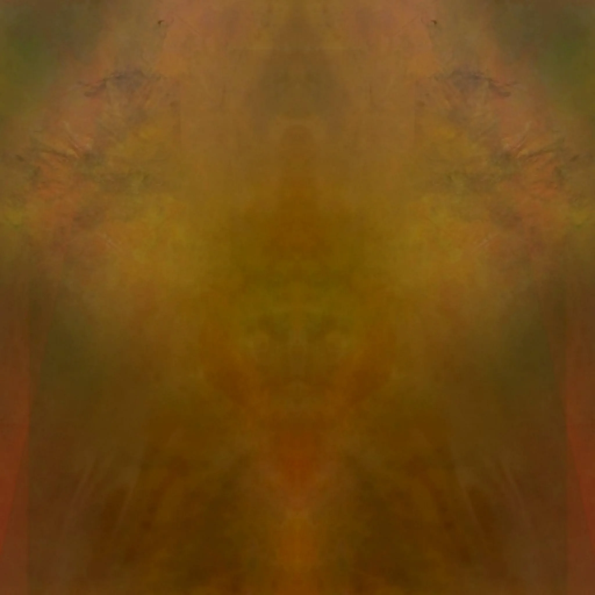 A blurry, close-up image of an orange-brown surface, possibly skin or a textured material, with indistinct details.