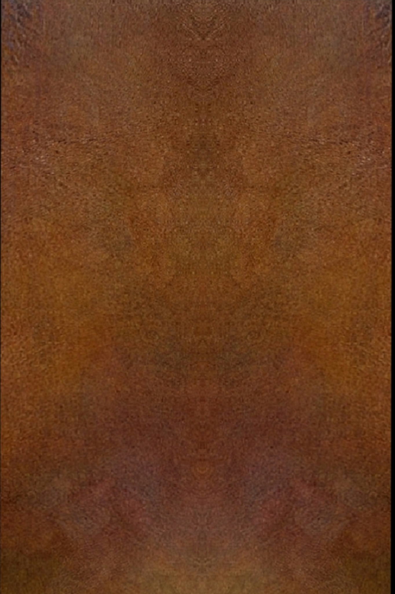 Close-up of a brown textured surface
