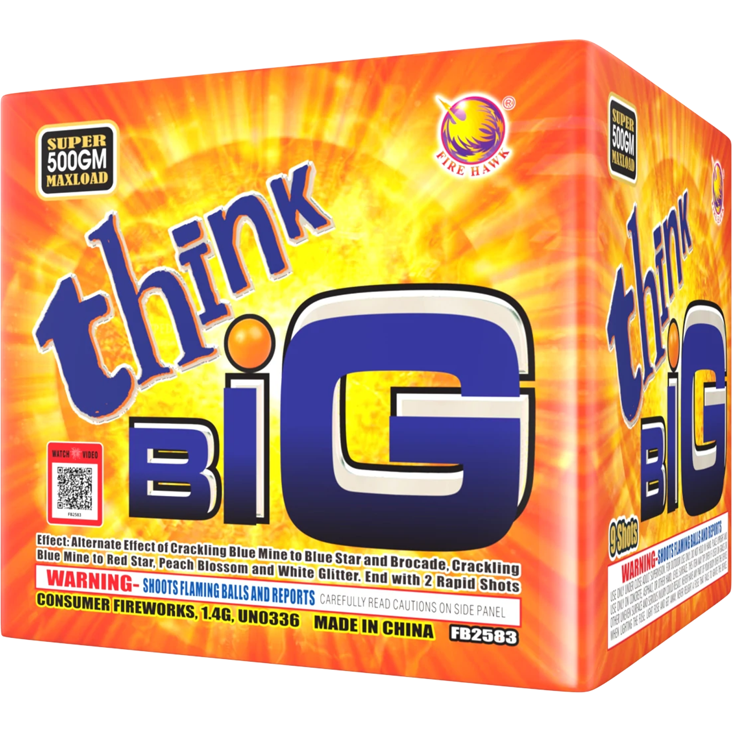 Think-Big_FB2583-1.png