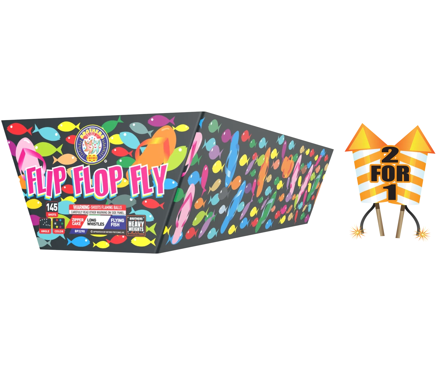 FLIP FLOP FLY