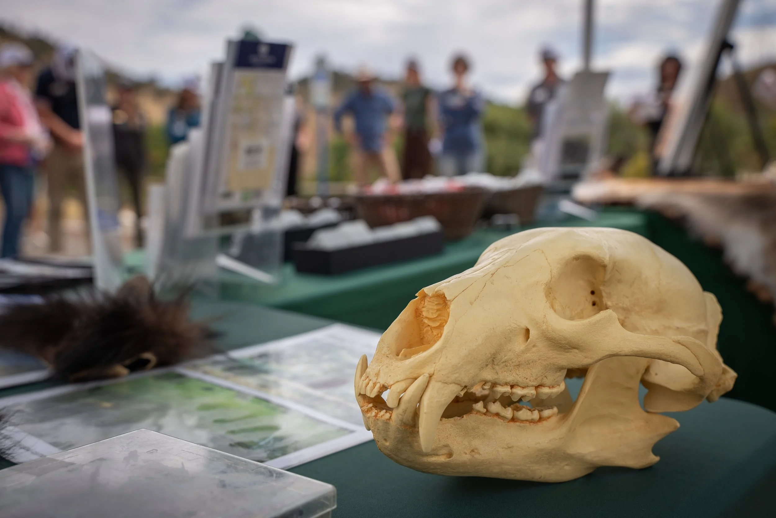 2025_Sept_Westracks Demonstration Event-198.jpg