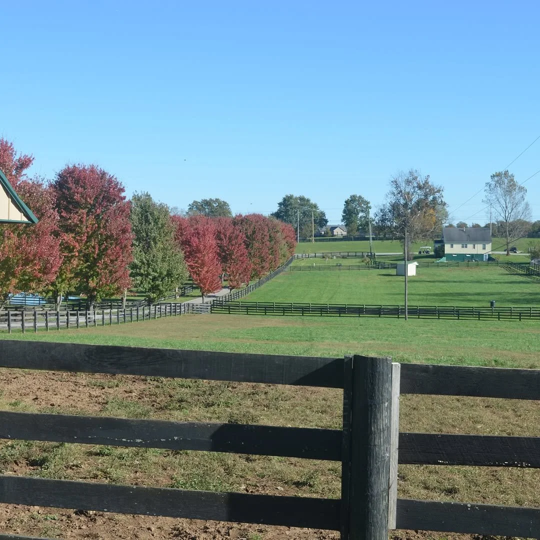 Race Horse Retirement Farm.