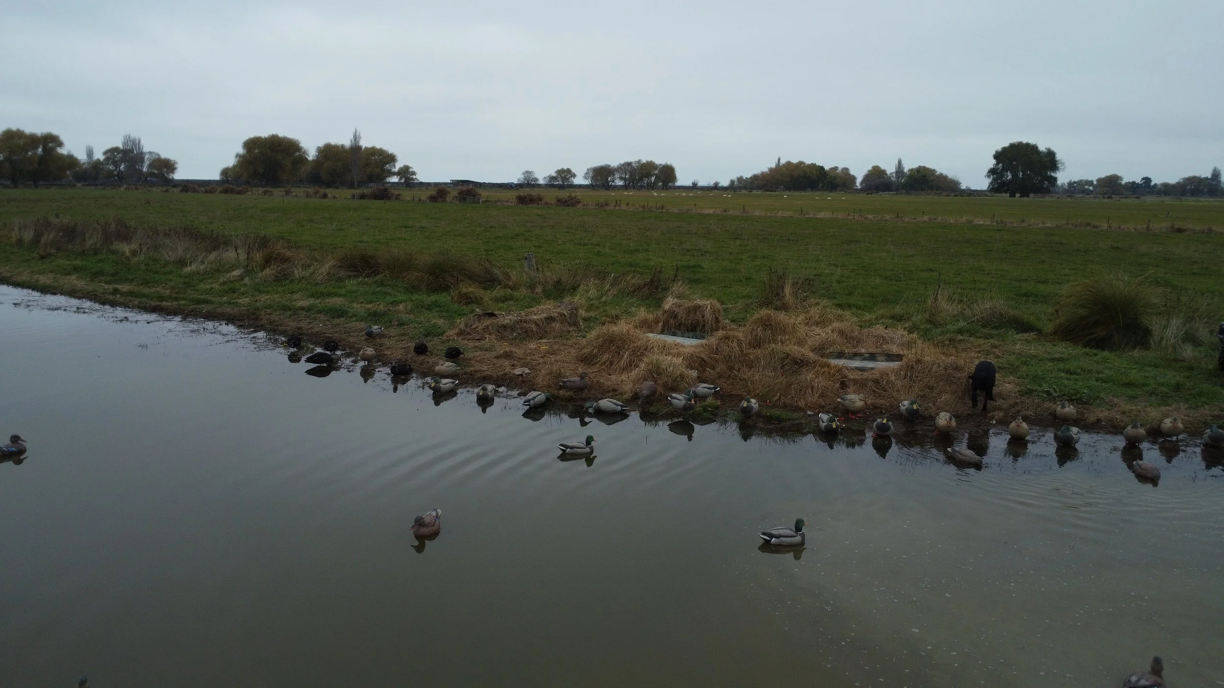 dji_fly_20260505_102550_165_1777933589500_photo_optimized.jpeg