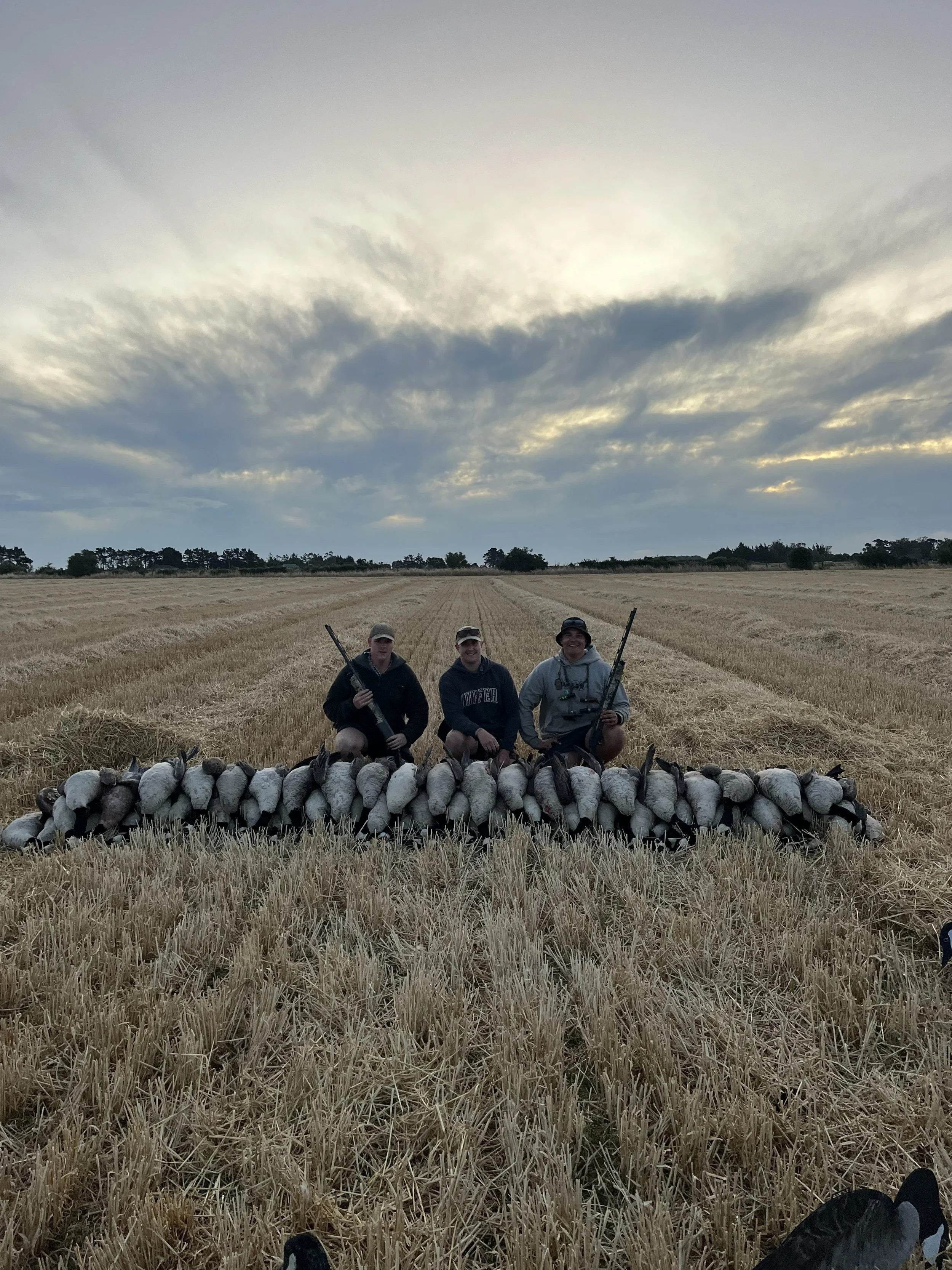Three young men kneeling behind a large display of ducks on a harvested field at sunset.