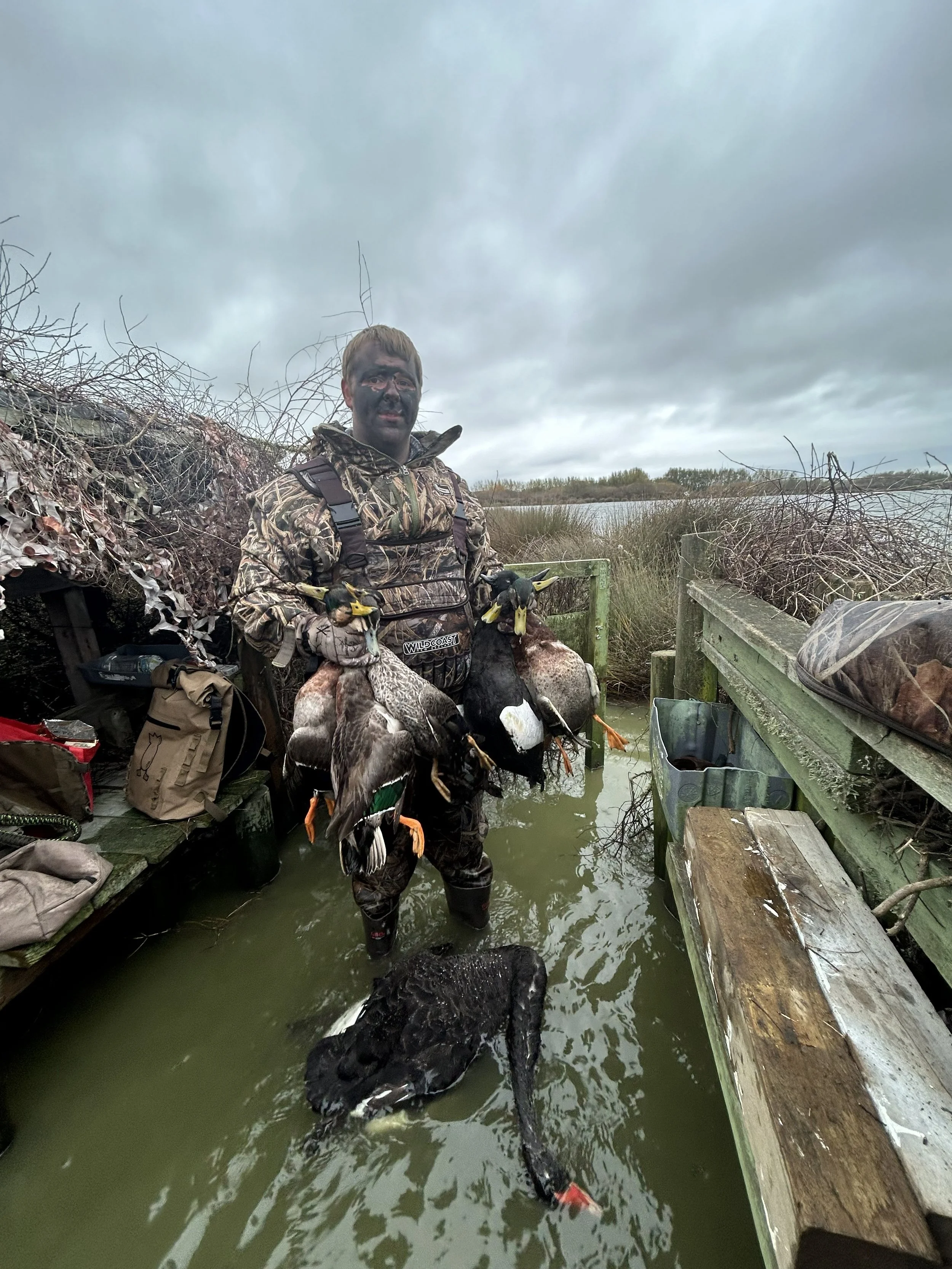 Hunter standing in water on a duck hunting blind holding four ducks and a black dog in a marshy area on a cloudy day.