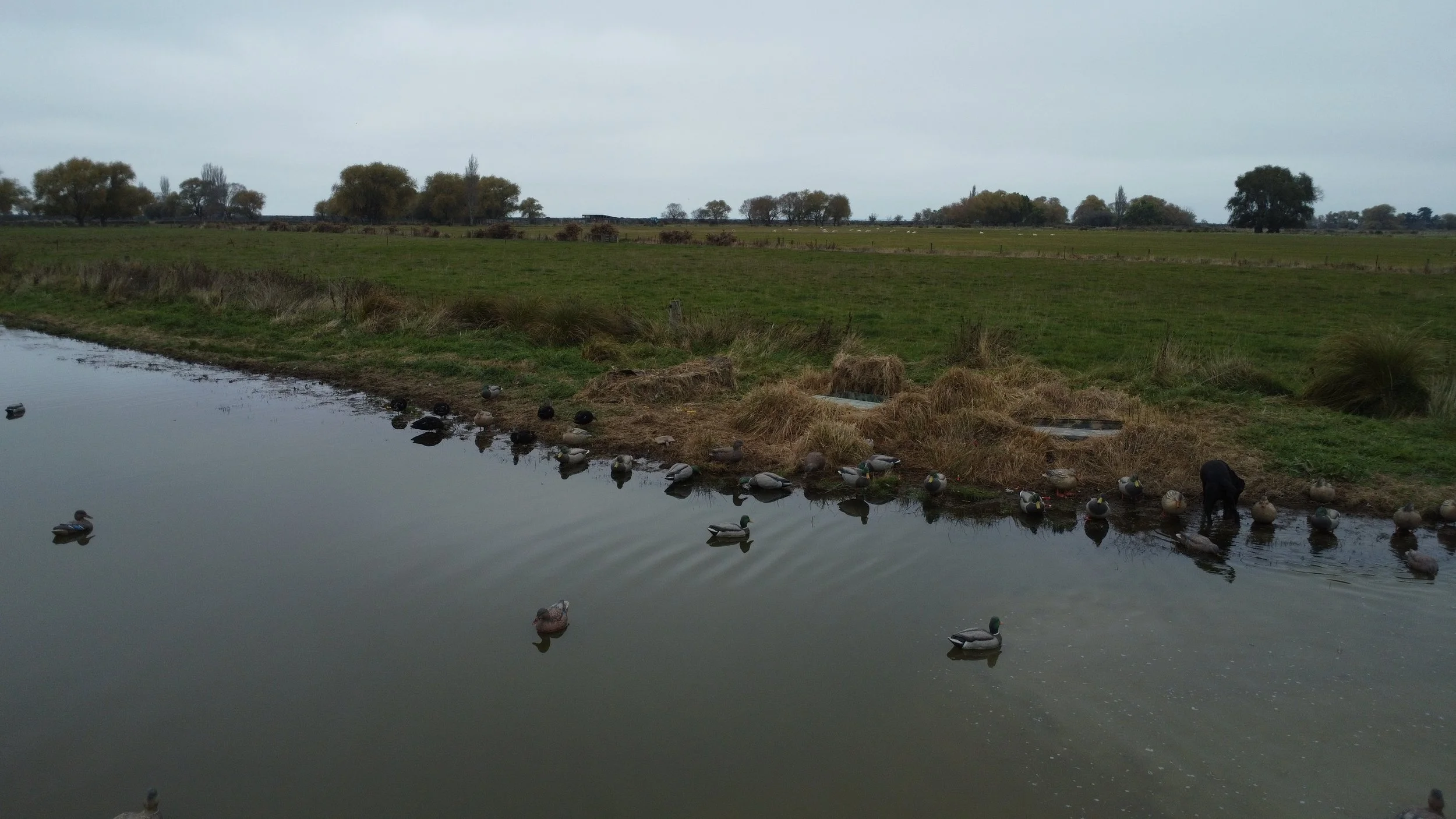 dji_fly_20260505_102546_164_1777933589502_photo_optimized.jpeg