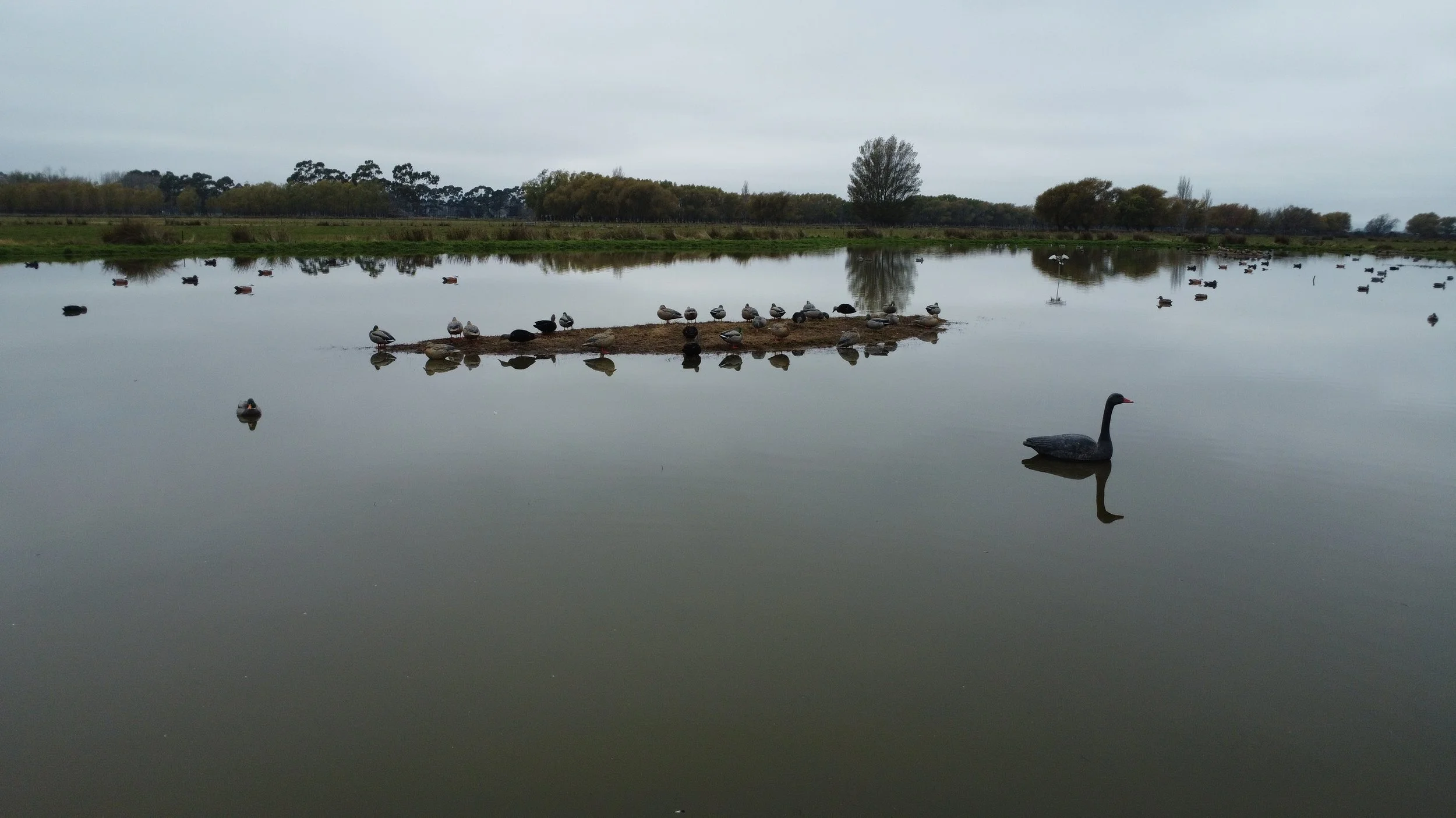 dji_fly_20260505_102506_162_1777933549902_photo_optimized.jpeg
