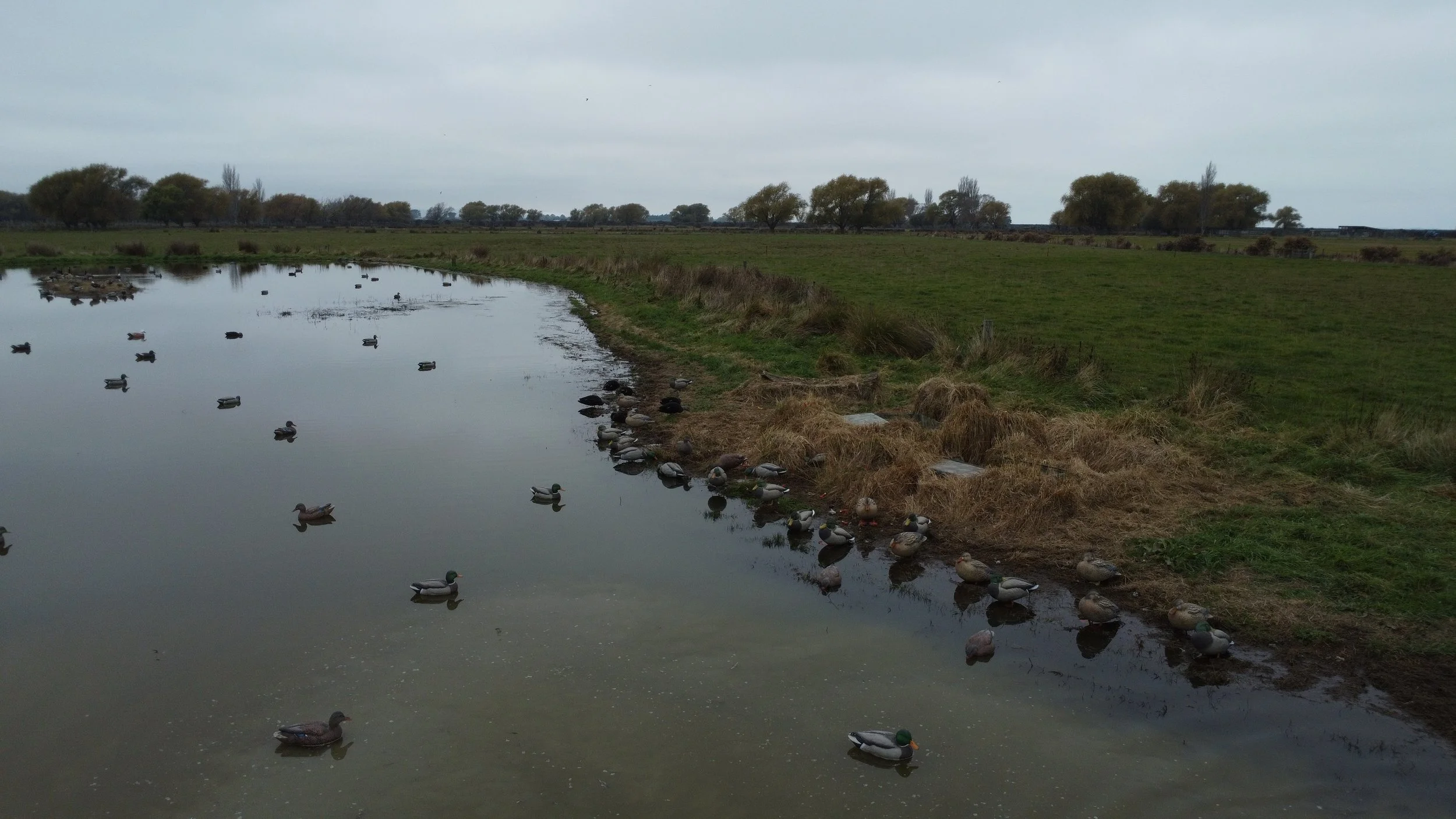 dji_fly_20260505_102526_163_1777933589505_photo_optimized.jpeg