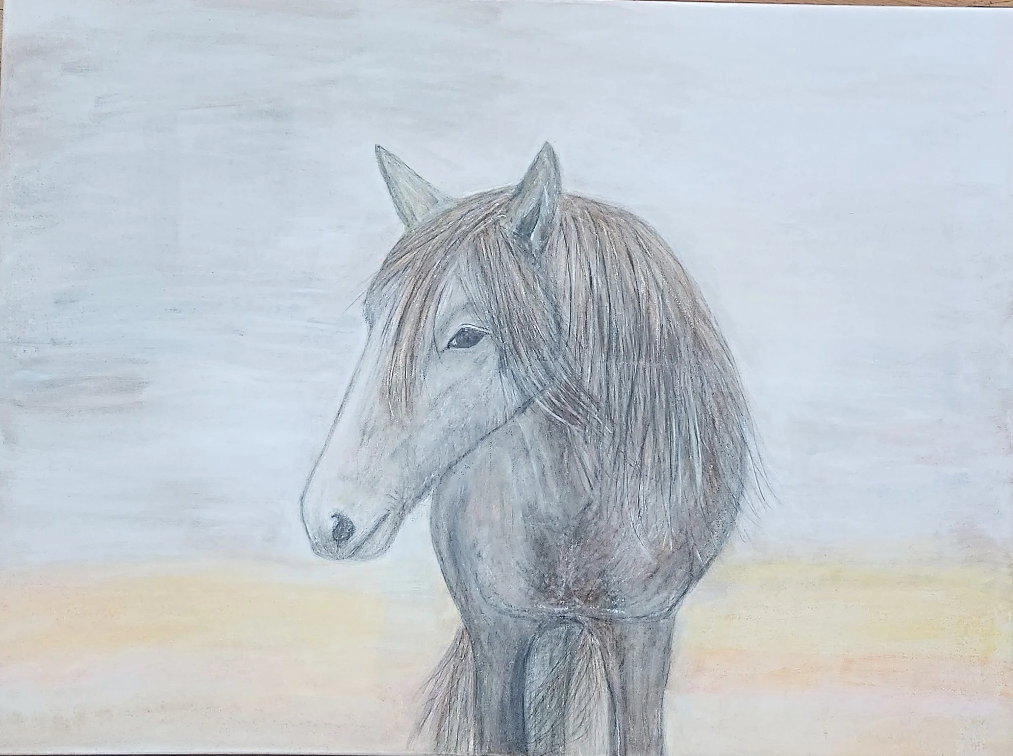 Wild Mustang