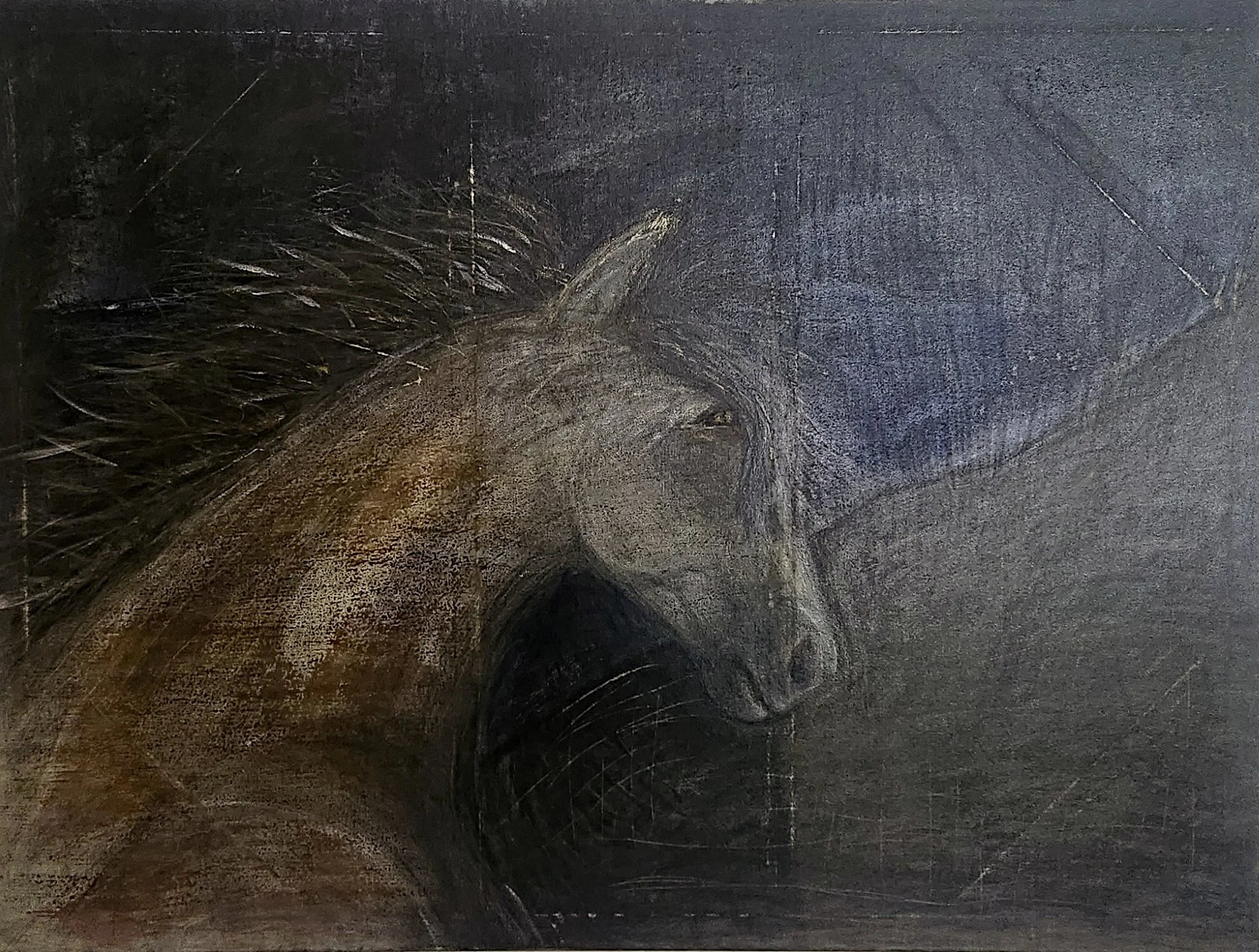 faded pony.jpg