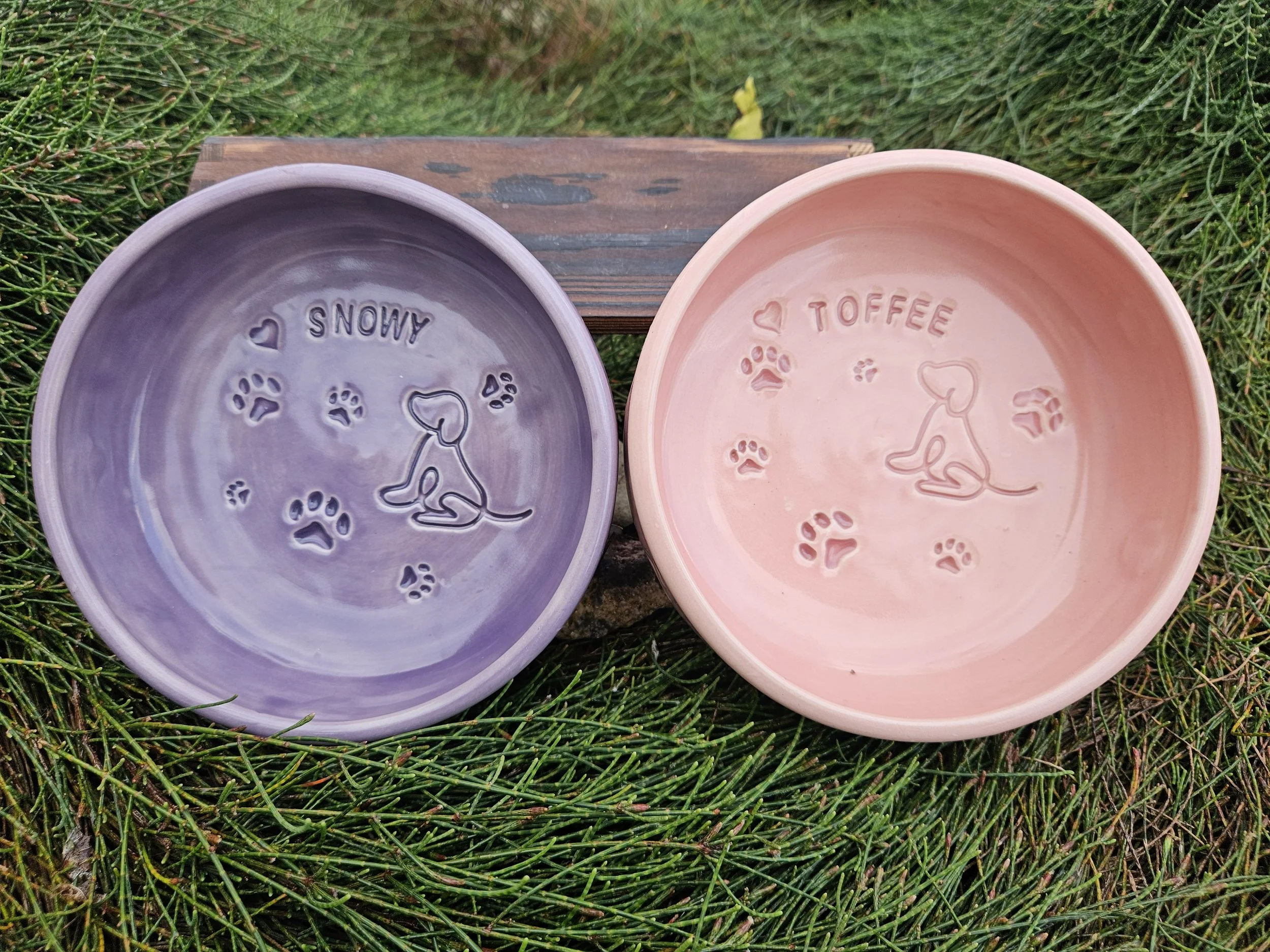 Pet dish 2.jpg