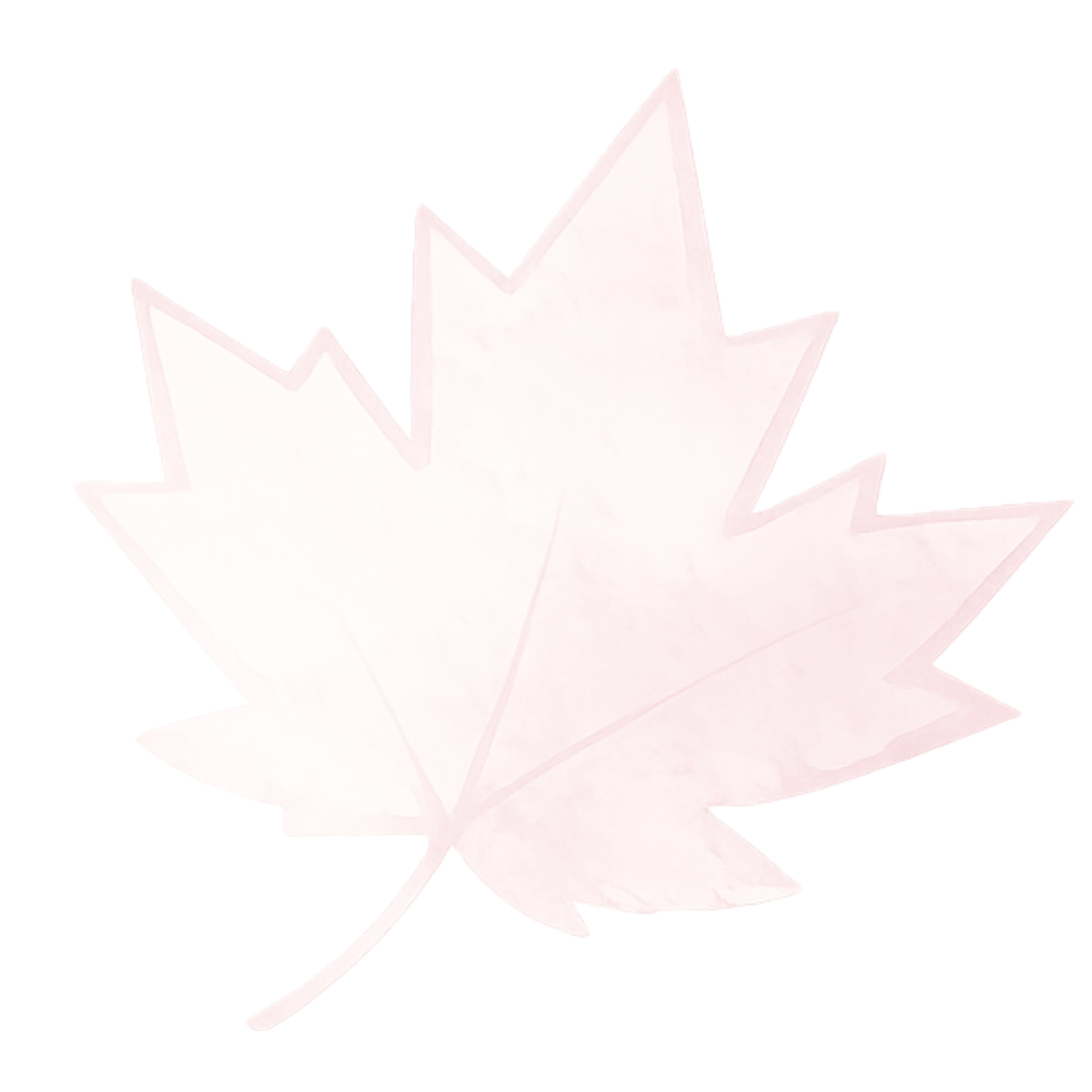 A white paper cutout of a maple leaf with a glossy finish placed on a black background.