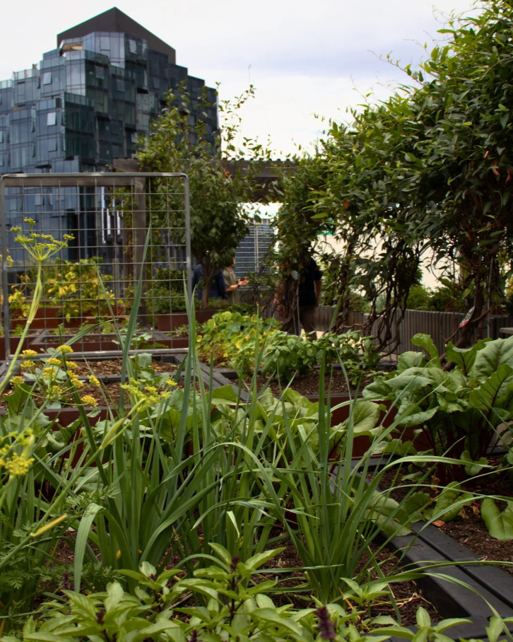 A Day with Dragonfly Enviro Capital