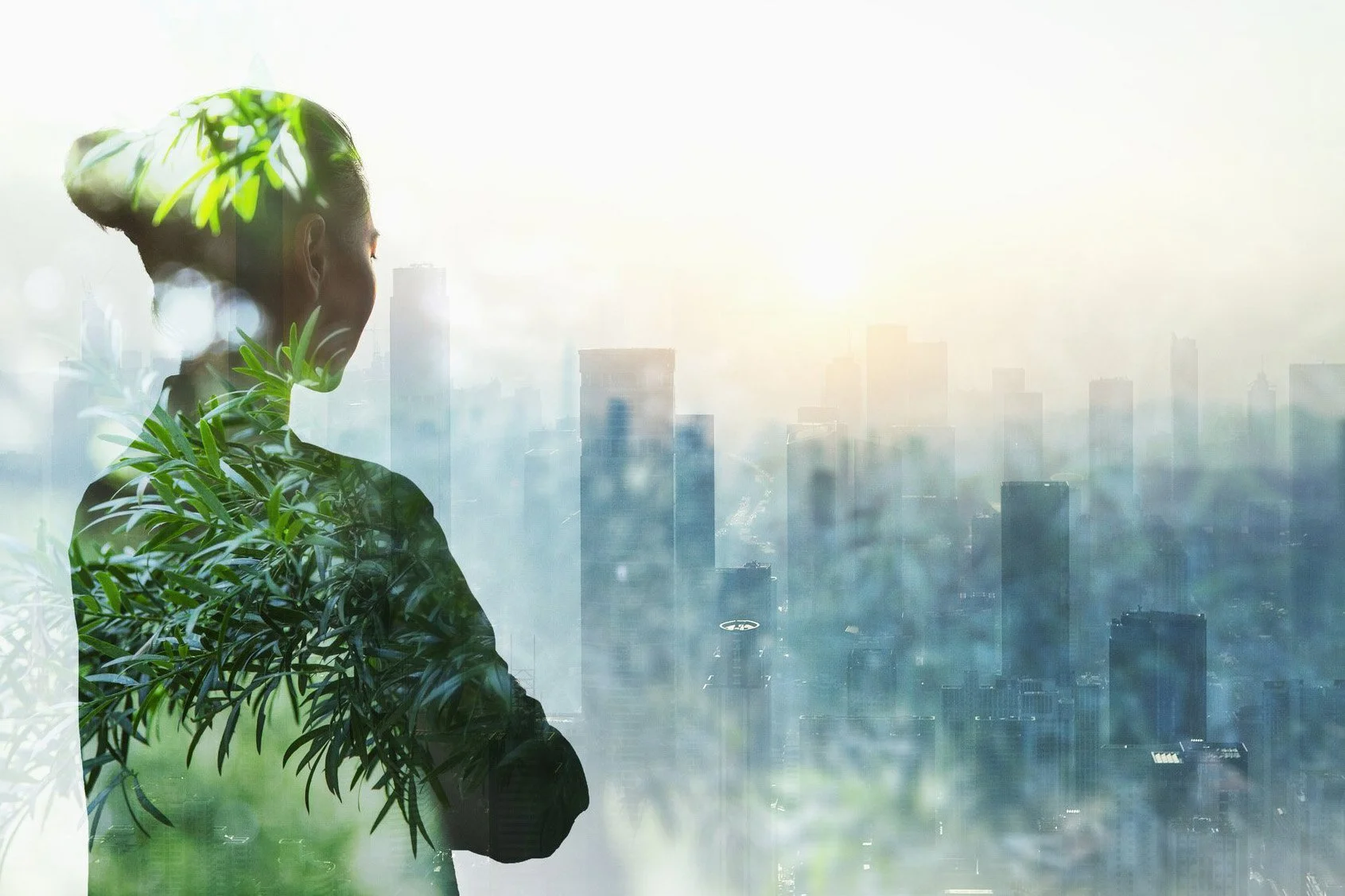 LiveWire: Why investors are increasingly drawn to impact-focused growth capital as part of their alternatives portfolio allocation.