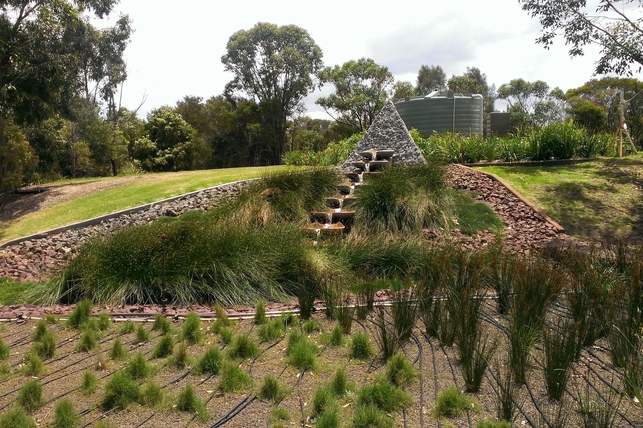 Investment Announcement: Water and Carbon