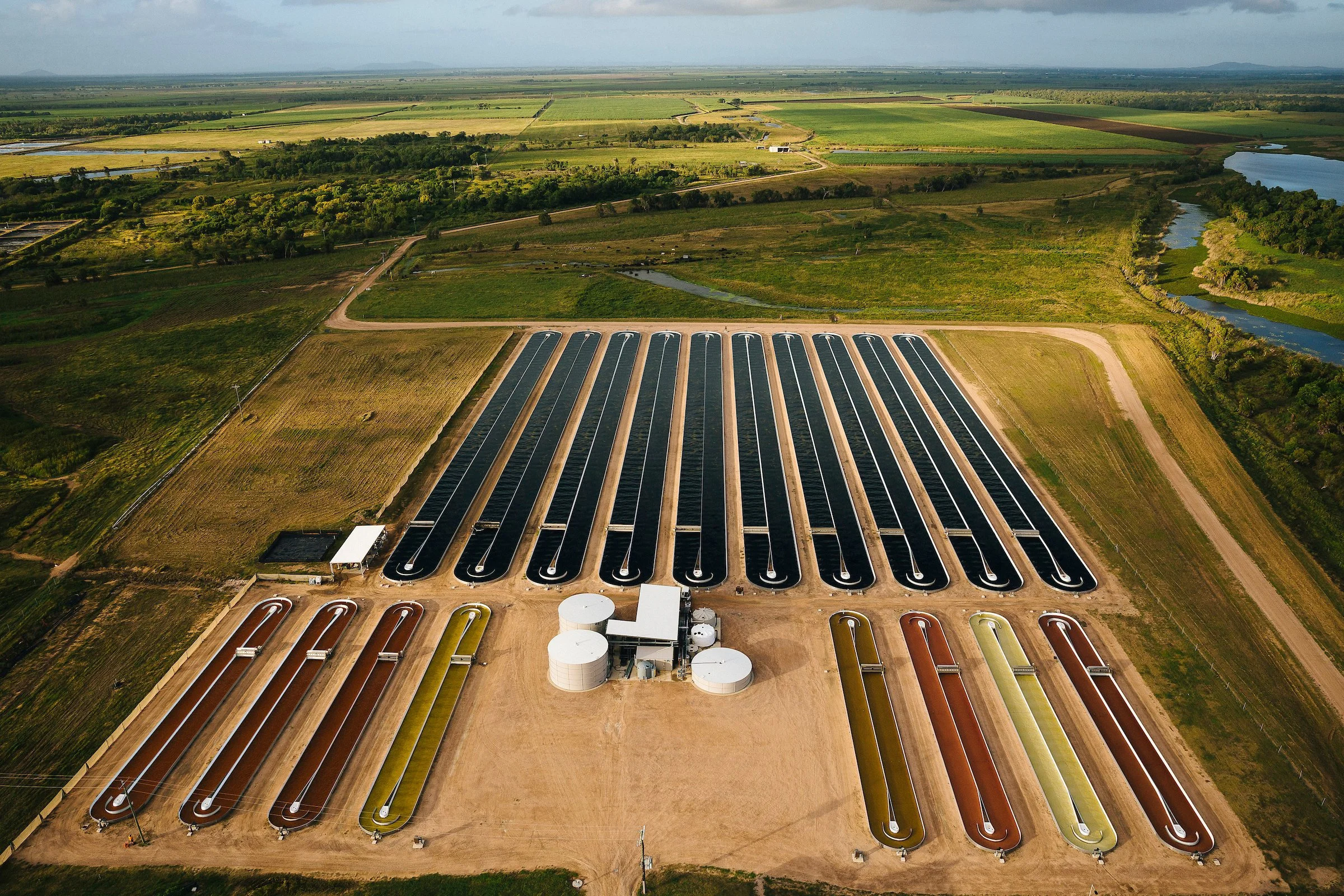 Investment Announcement: Pacific Biotechnologies