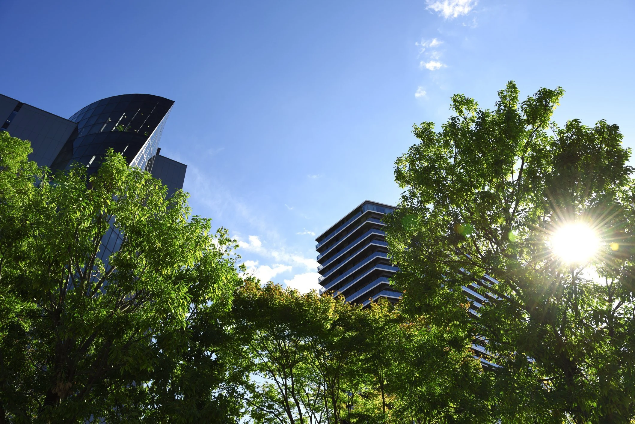 Dragonfly is Featured in FS Sustainability with Opinion Piece: “What can impact investing learn from the tech-wreck?”