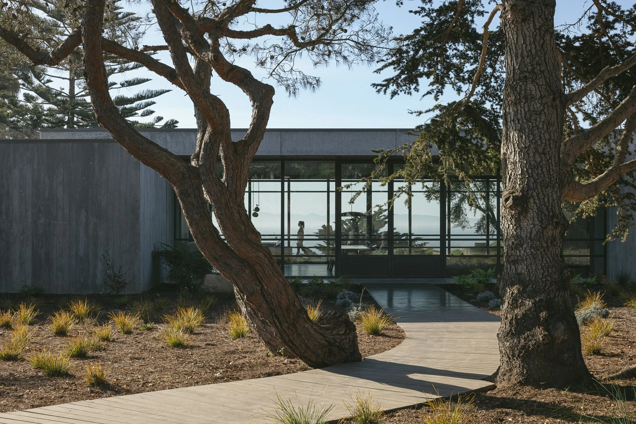 Seacliff Home