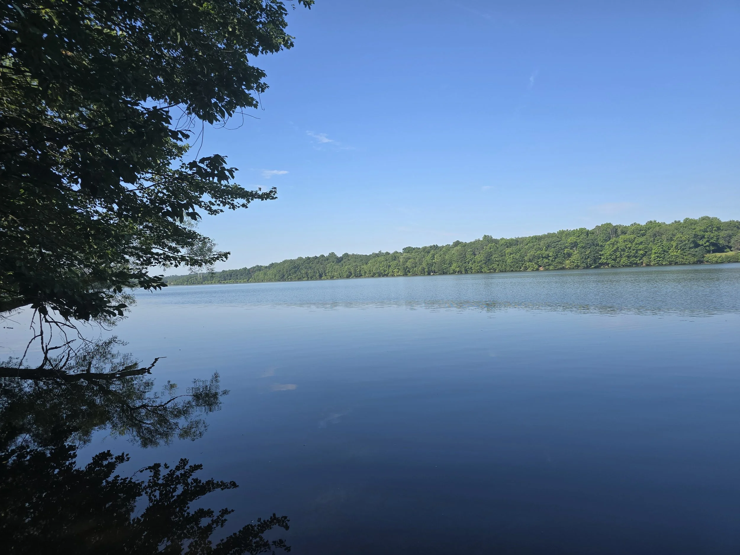 Blue lake, summertime, the Little Dog Retreat, Valley Cottage NY