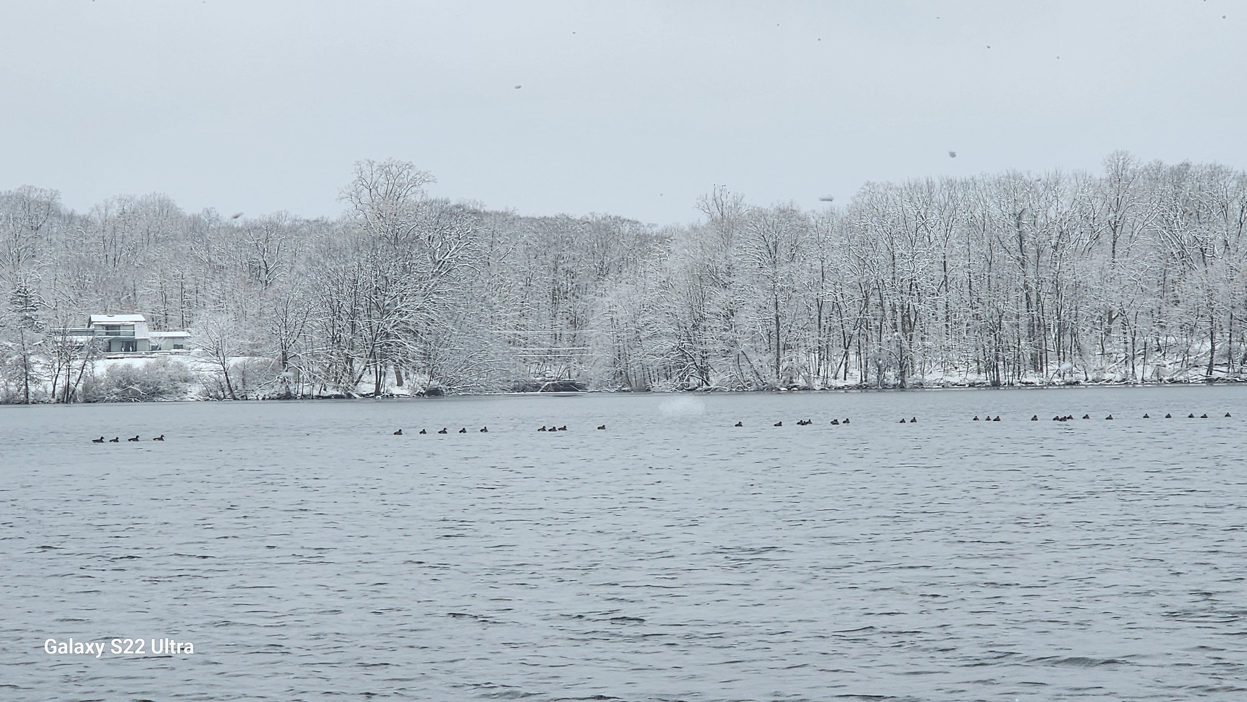 Winter on private lake, the Little Dog Retreat, Upstate NY