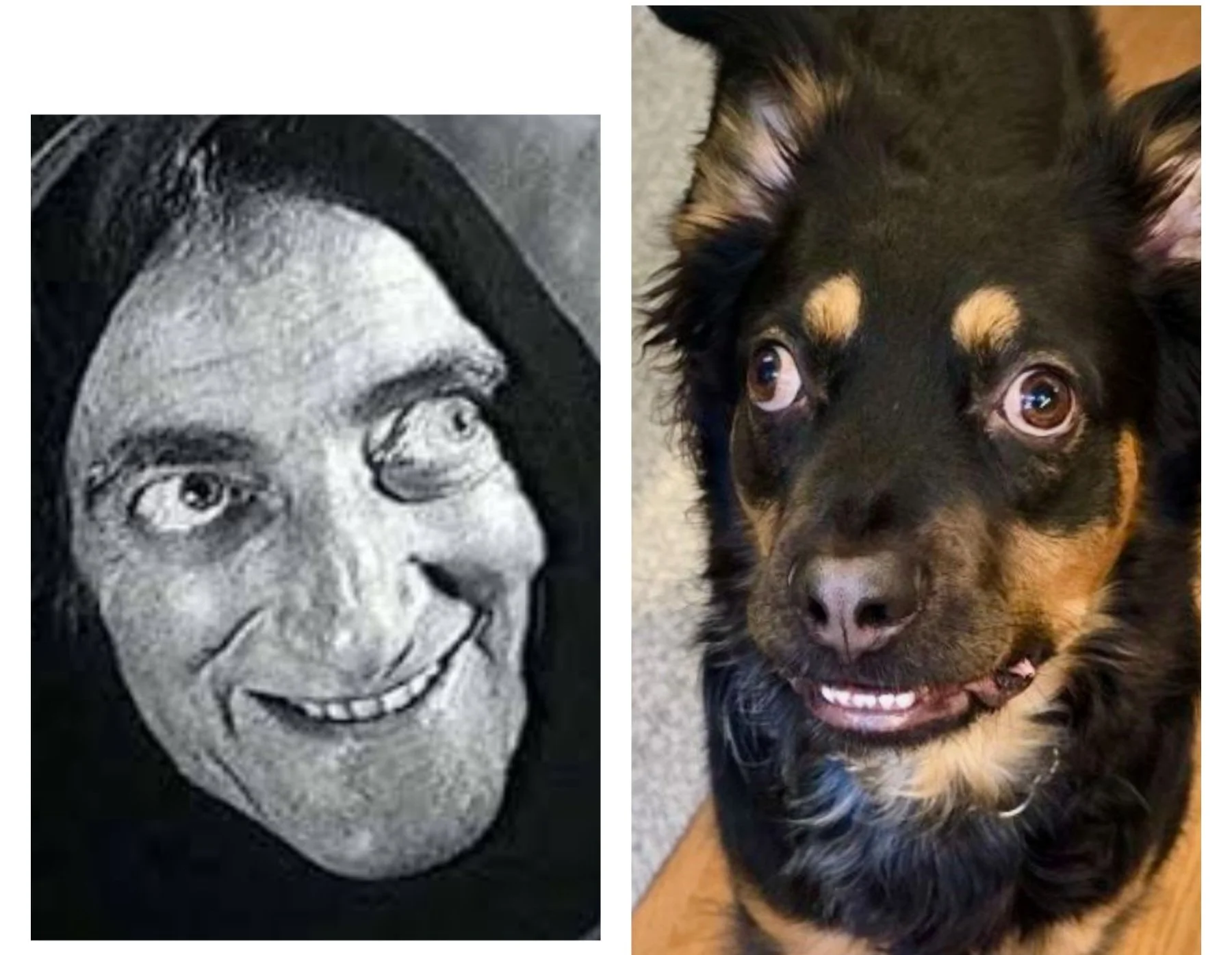 Marty Feldman and Marty Feldman — the resemblance speaks for itself