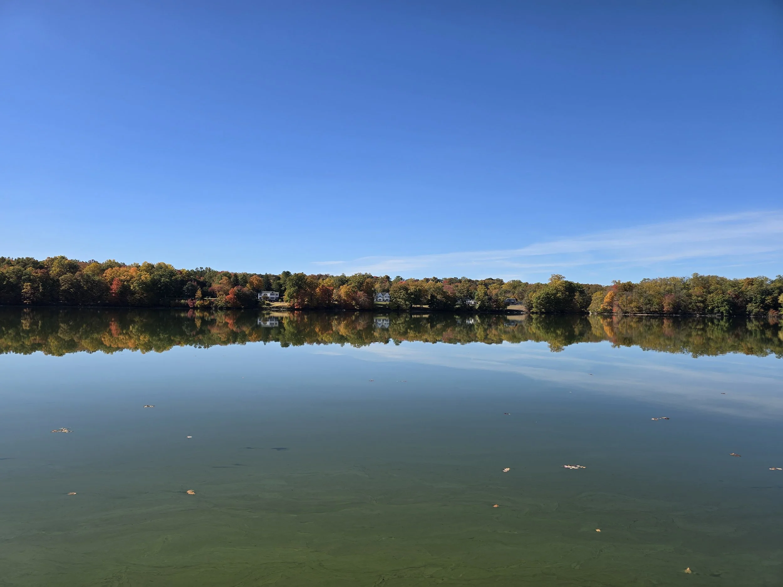 Fall foliage at private lake, the Little Dog Retreat boarding, Stillwater Acre, Upstate NY